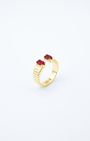 Twin Red Ring